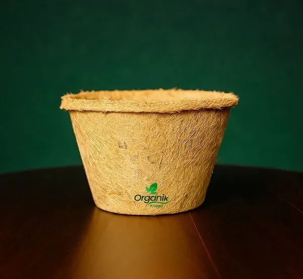 Brown_Coco_Pot_6_Inch_For_Indoor