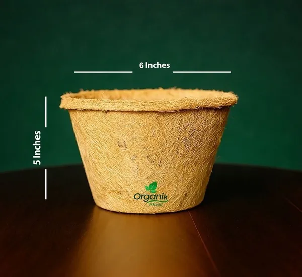 Brown_Coco_Pot_6_Inch_For_Indoor