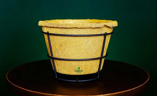 Brown_Coco_Pot_6_Inch_For_Indoor