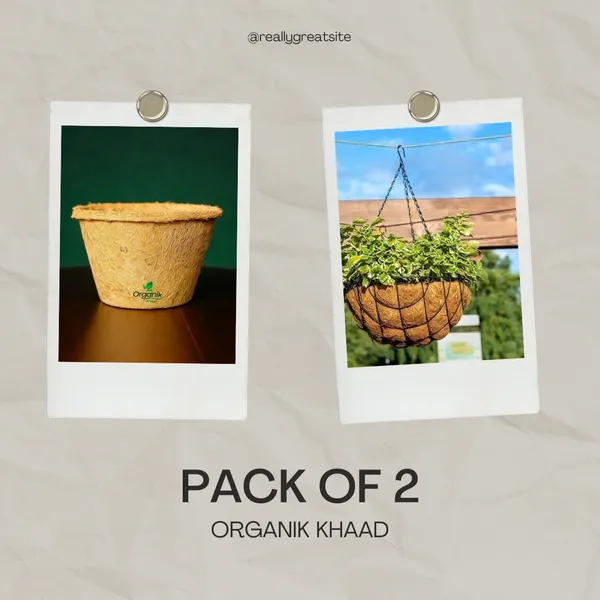 Brown_Coco_Pot_6_Inch_For_Indoor_Pack_Of_2