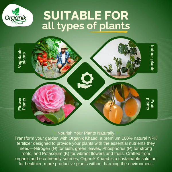Multicolor_Npk_19_Fertilizer_For_Balanced_Plant_Nutrition_And_Brown_Coco_Pot_7_Inch_For_Indoor