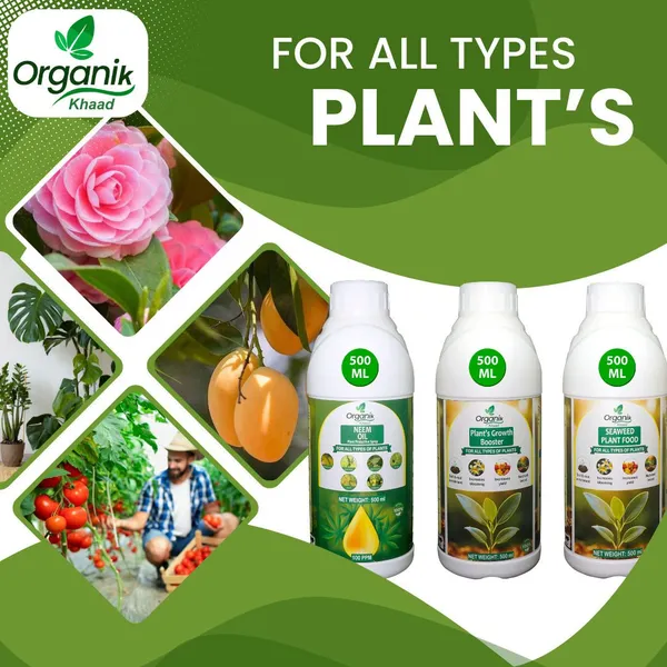 Multicolor_Plant_Growth_Booster_Fertilizer_And_Plant_Growth_Booster_And_Seaweed_Plant_Food_And_Neem_Oil_For_All_Type_Of_Plants