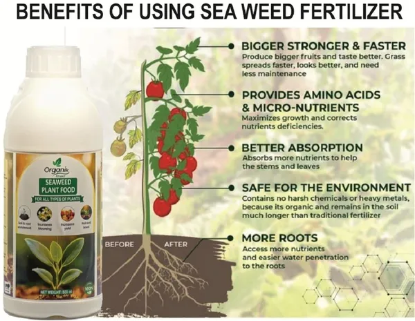 Multicolor_Plant_Growth_Booster_And_Seaweed_Plant_Food_For_All_Type_Of_Plants_For_Gardening