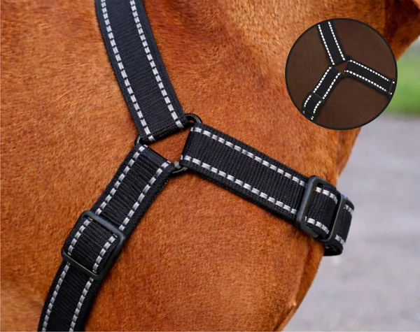 Nylon_Reflective_Collar_&_Rope_For_Dog_-_Black