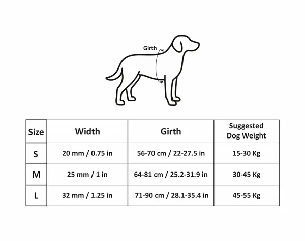Nylon_Reflective_Collar_&_Rope_For_Dog_-_Black