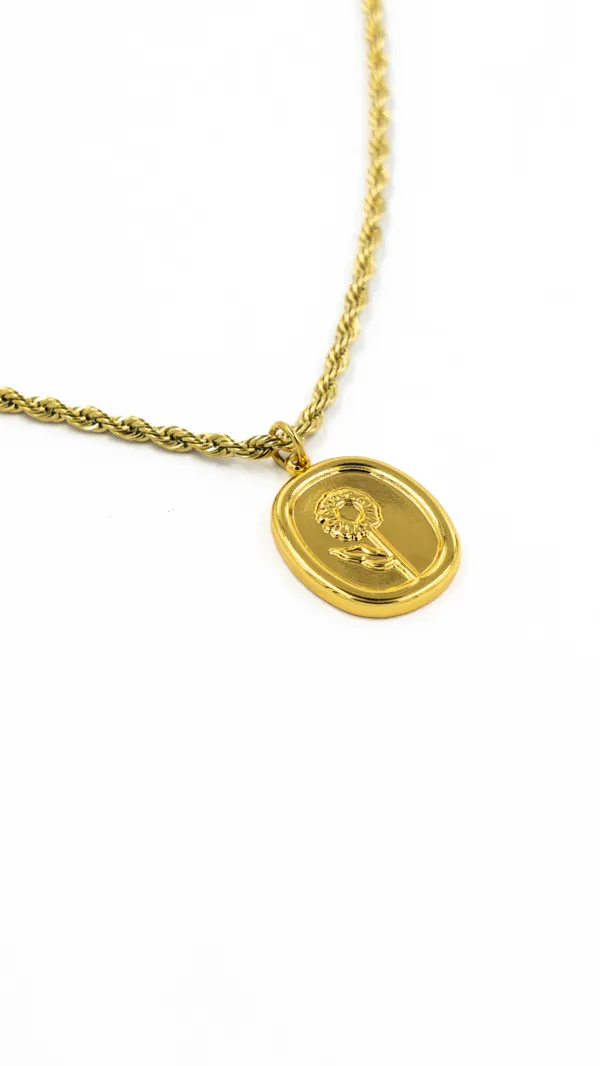 Gold_Plated_Oval_Pendant_Necklace_With_Rope_Chain_For_Women
