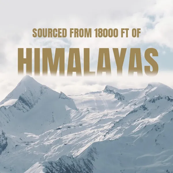 Himalayan_Shilajit_Resin