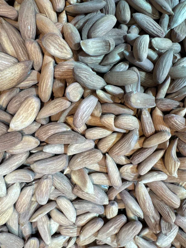 Shahi_Dryfruits_Sweet_Mamra_Almonds_|_Wholesome_Daily_Nutrition_|_250_Gm