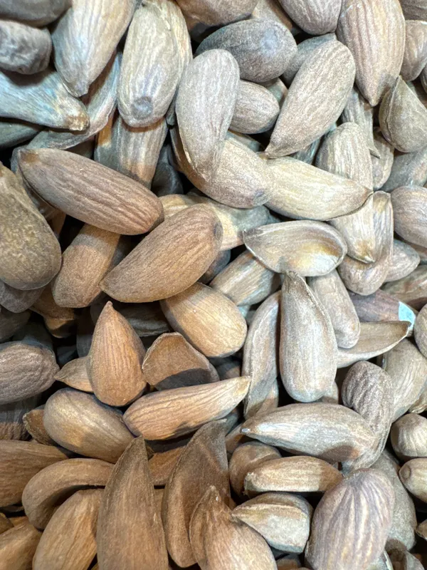 Shahi_Dryfruits_Shukur_Bai_Mamra_Almonds_|_Wholesome_Daily_Nutrition_|_250_Gm
