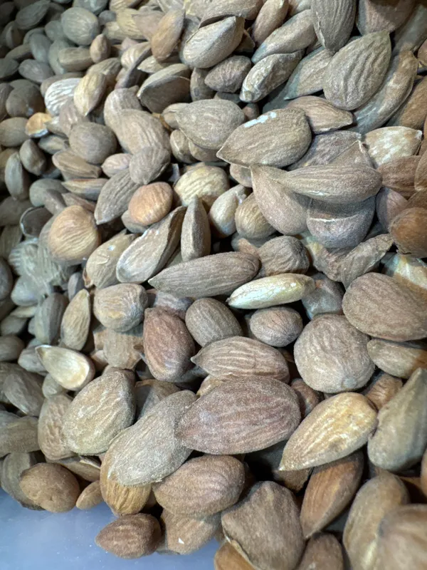 Shahi_Dryfruits_Ghorbandi_Almonds_|_Wholesome_Daily_Nutrition_|_250_Gm