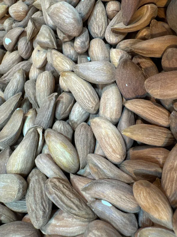 Shahi_Dryfruits_Shukur_Bai_Mamra_Almonds_|_Wholesome_Daily_Nutrition_|_250_Gm