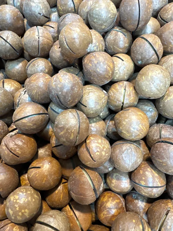 Shahi_Dryfruits_Macadamia_Nuts_|_Wholesome_Daily_Nutrition_|_250_Gm