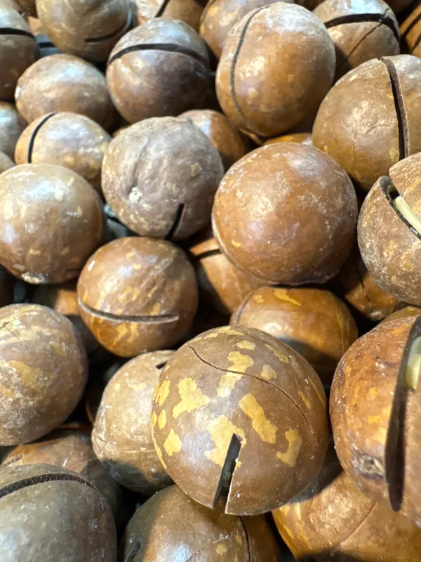 Shahi_Dryfruits_Macadamia_Nuts_|_Wholesome_Daily_Nutrition_|_250_Gm