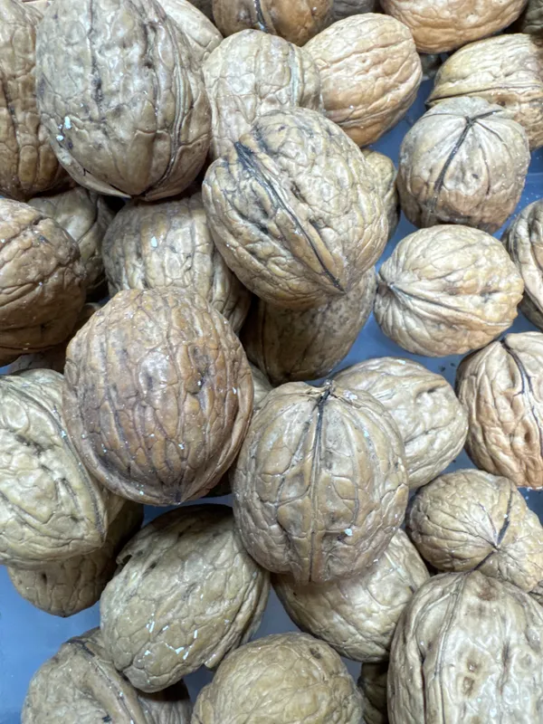 Shahi_Dryfruits_Walnuts_In_Shell_|_Wholesome_Daily_Nutrition_|_250_Gm