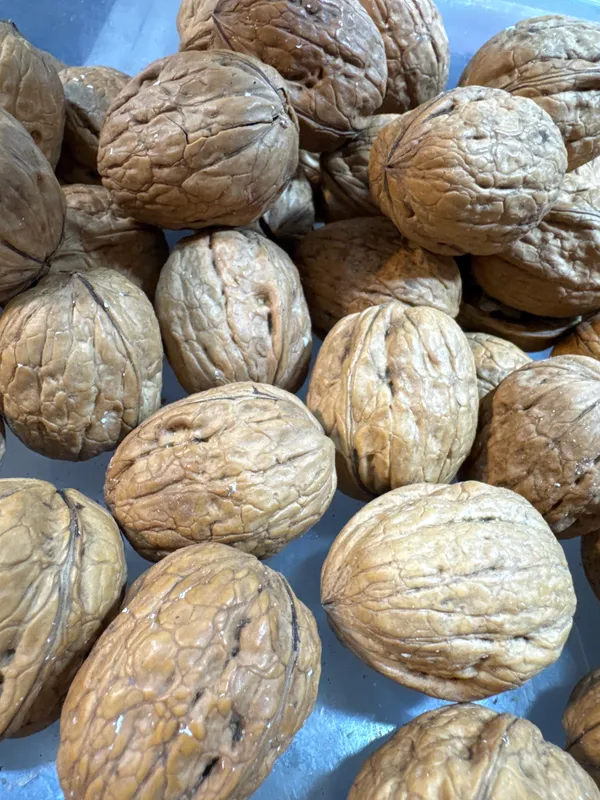 Shahi_Dryfruits_Walnuts_In_Shell_|_Wholesome_Daily_Nutrition_|_250_Gm