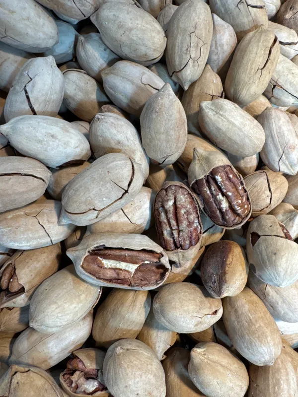 Shahi_Dryfruits_Pecan_Nuts_|_Wholesome_Daily_Nutrition_|_250_Gm