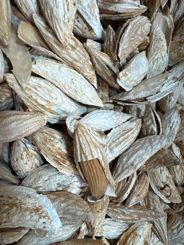 Shahi_Dryfruits_Kaghazi_Mamra_Almonds_|_Wholesome_Daily_Nutrition_|_250_Gm