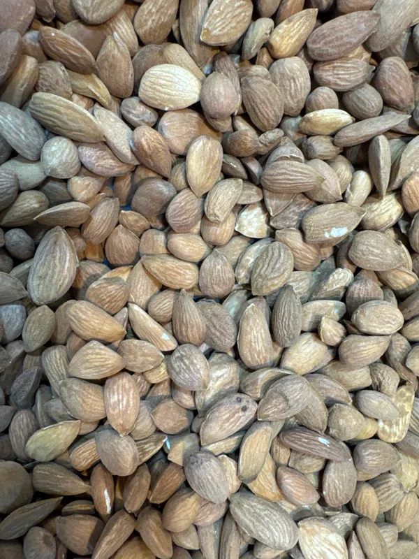 Shahi_Dryfruits_Ghorbandi_Almonds_|_Wholesome_Daily_Nutrition_|_250_Gm