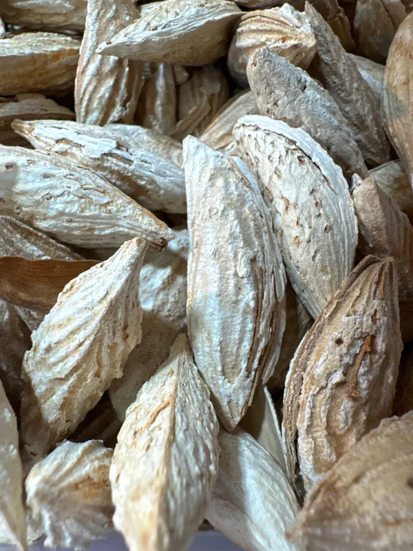 Shahi_Dryfruits_Kaghazi_Mamra_Almonds_|_Wholesome_Daily_Nutrition_|_250_Gm