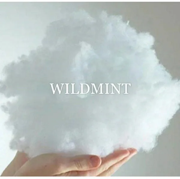 White_Microfibre_Vacuum_Pillow_Pack_Of_5