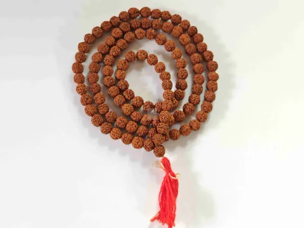 5_Mukhi_Rudraksha_Mala_-_8mm,_108+1_beads