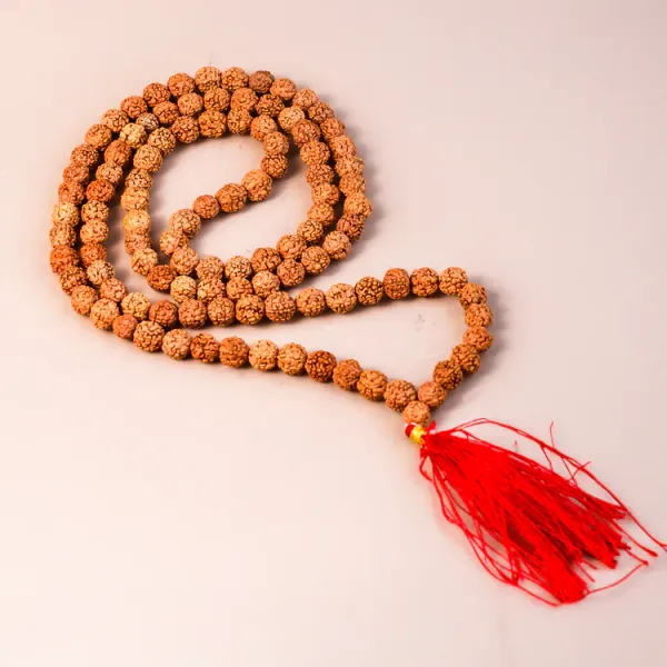5_Mukhi_Rudraksha_Mala_-_8mm,_108+1_beads