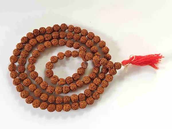 5_Mukhi_Rudraksha_Mala_-_8mm,_108+1_beads
