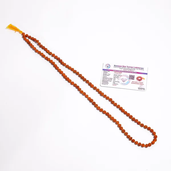 Rudraksh_109_Moti_Mala_–_Dhyaan,_Shanti_aur_Bhakti_ke_liye