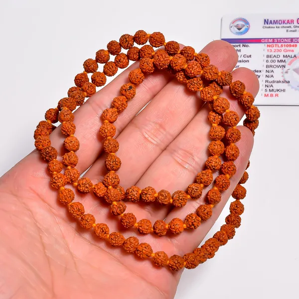 Rudraksh_109_Moti_Mala_–_Dhyaan,_Shanti_aur_Bhakti_ke_liye