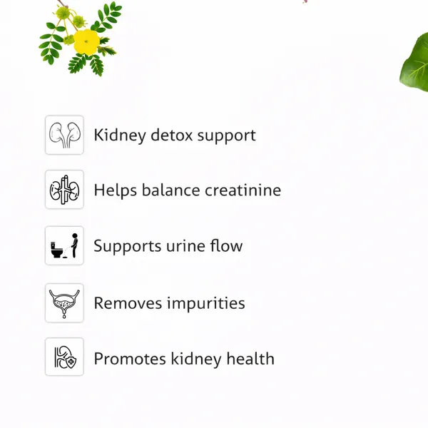Kailash_Pct_Capsules_Advanced_11_Herb_Recovery_Formula_For_Men