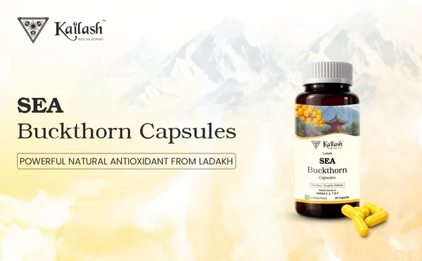 Kailash_Himalayan_Sea_Buckthorn_Capsules_–_Antioxidant_Support_for_Skin,_Immunity_&_Vitality_(60_Capsules)