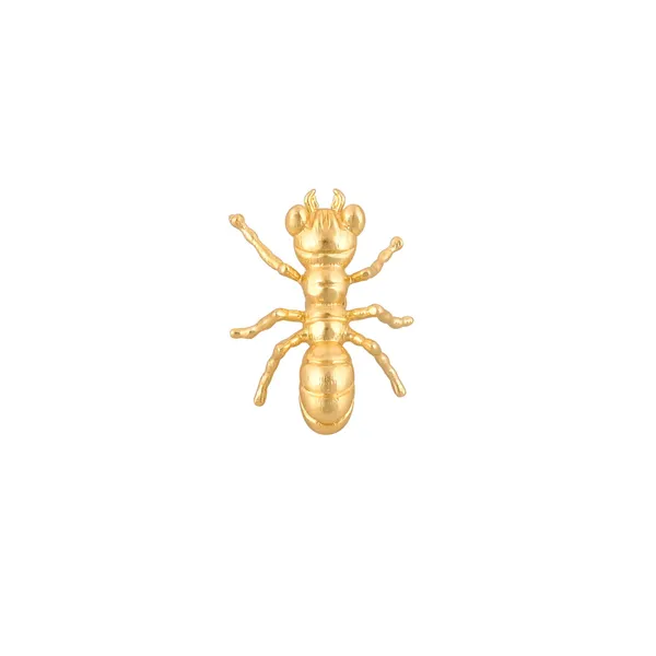 Ant_Brooch