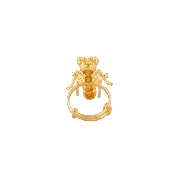 Ant_Ring