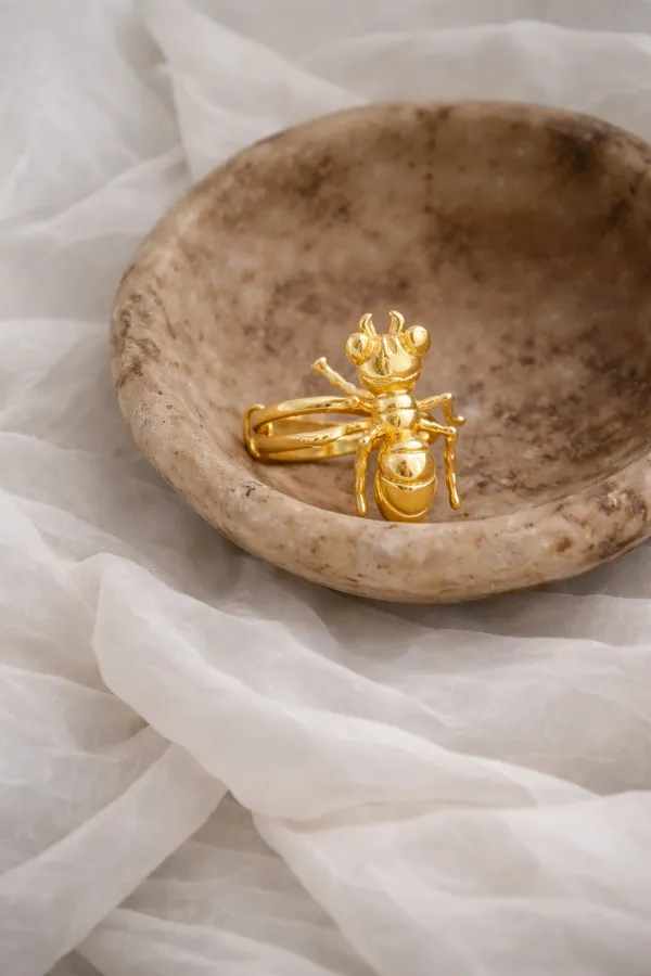 Ant_Ring