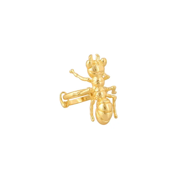 Ant_Ring