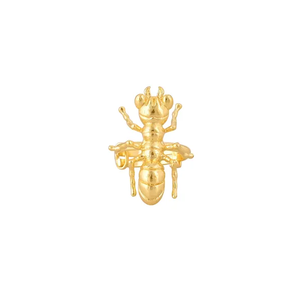 Ant_Ring