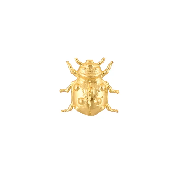 Beetle_Brooch