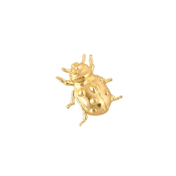 Beetle_Brooch