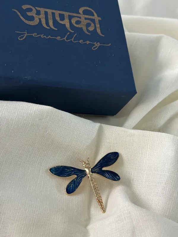 Flying_Brooch