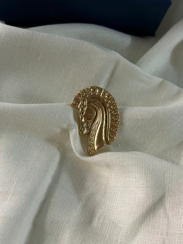 Ghoda_Brooch