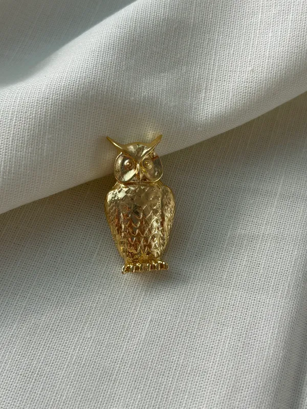 Ullu_Brooch