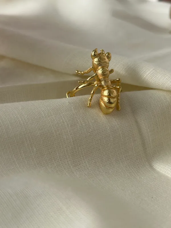Ant_Ring