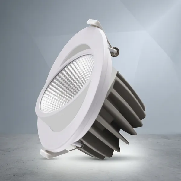 Cob_Movable_Down_Light