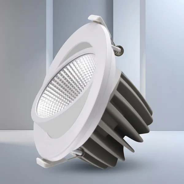 Cob_Movable_Down_Light