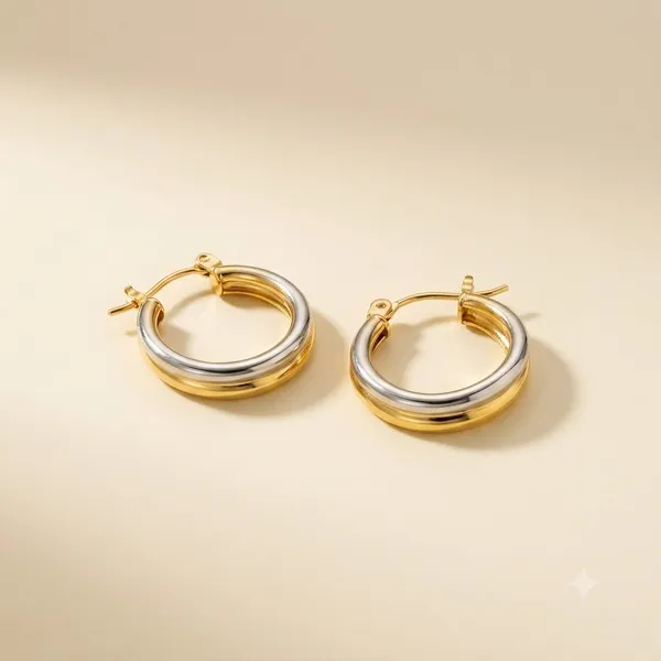 Gold_And_Silver_Tone_Hoop_Earrings_For_Women