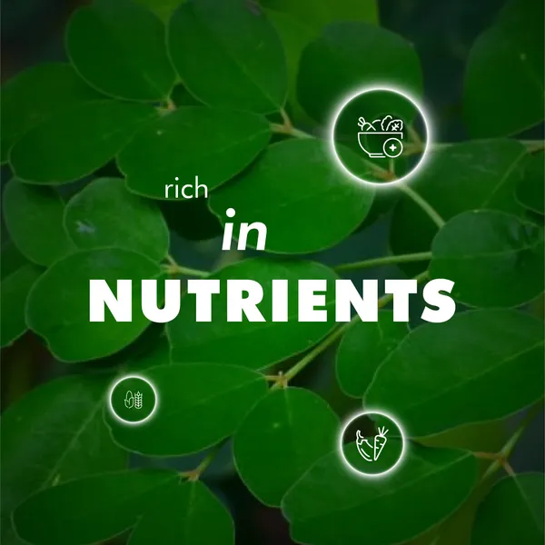 Moringa_Capsules_60_Nos