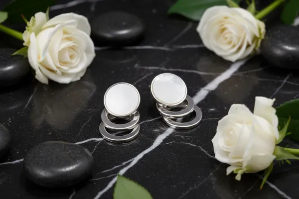 Silver_White_Circular_Stone_Dual_Crescent_Toned_Earrings_For_Women
