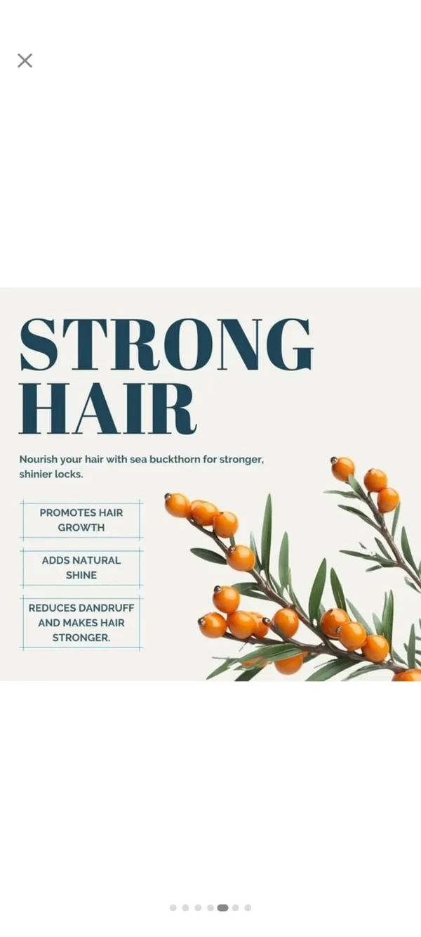 Sea_Buckthorn_Juice_100%_Natural_|_Omega_3,6,7,9_|_500ml