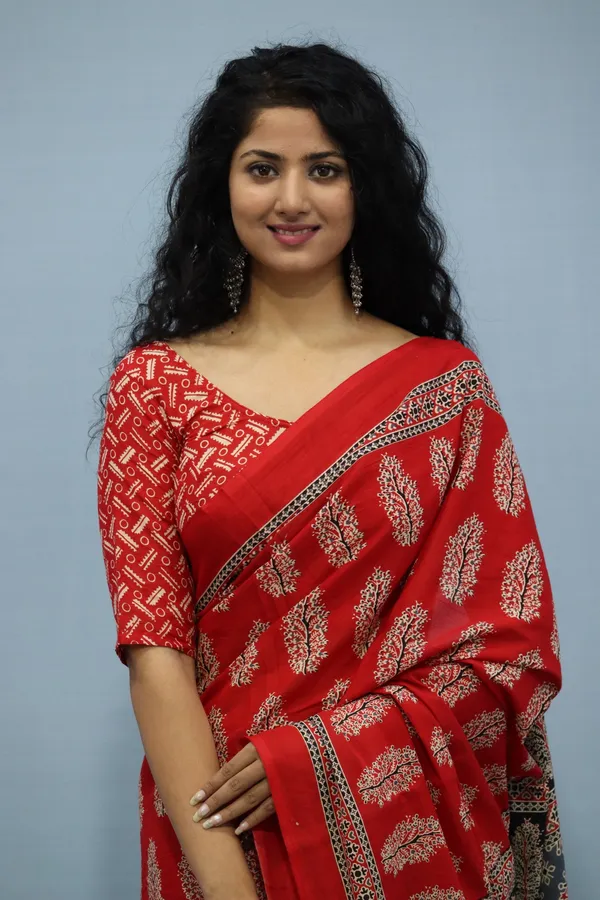 Royal_Red_Ethnic_Printed_Saree_with_Designer_Border