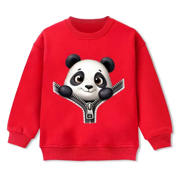 Multicolor_Cotton_Sweatshirt_For_Unisex_Kids_Pack_Of_2